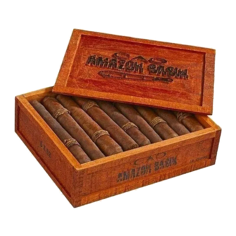 CAO Amazon Basin (2025)