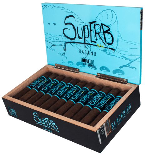 Blackbird Cigar Co. Superb Robusto